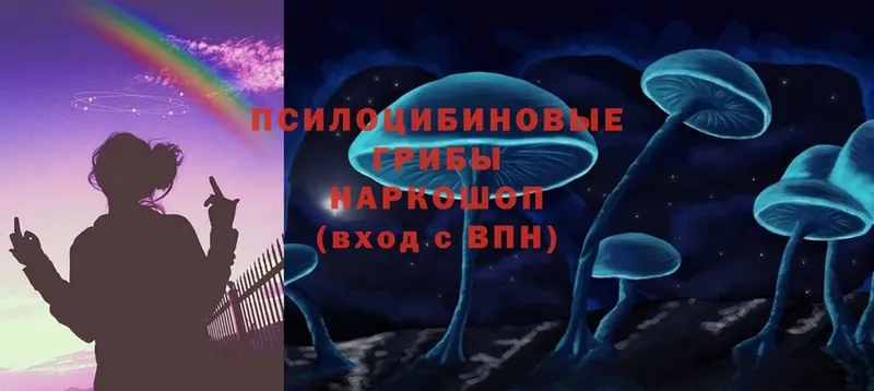 Галлюциногенные грибы MAGIC MUSHROOMS  Анадырь 